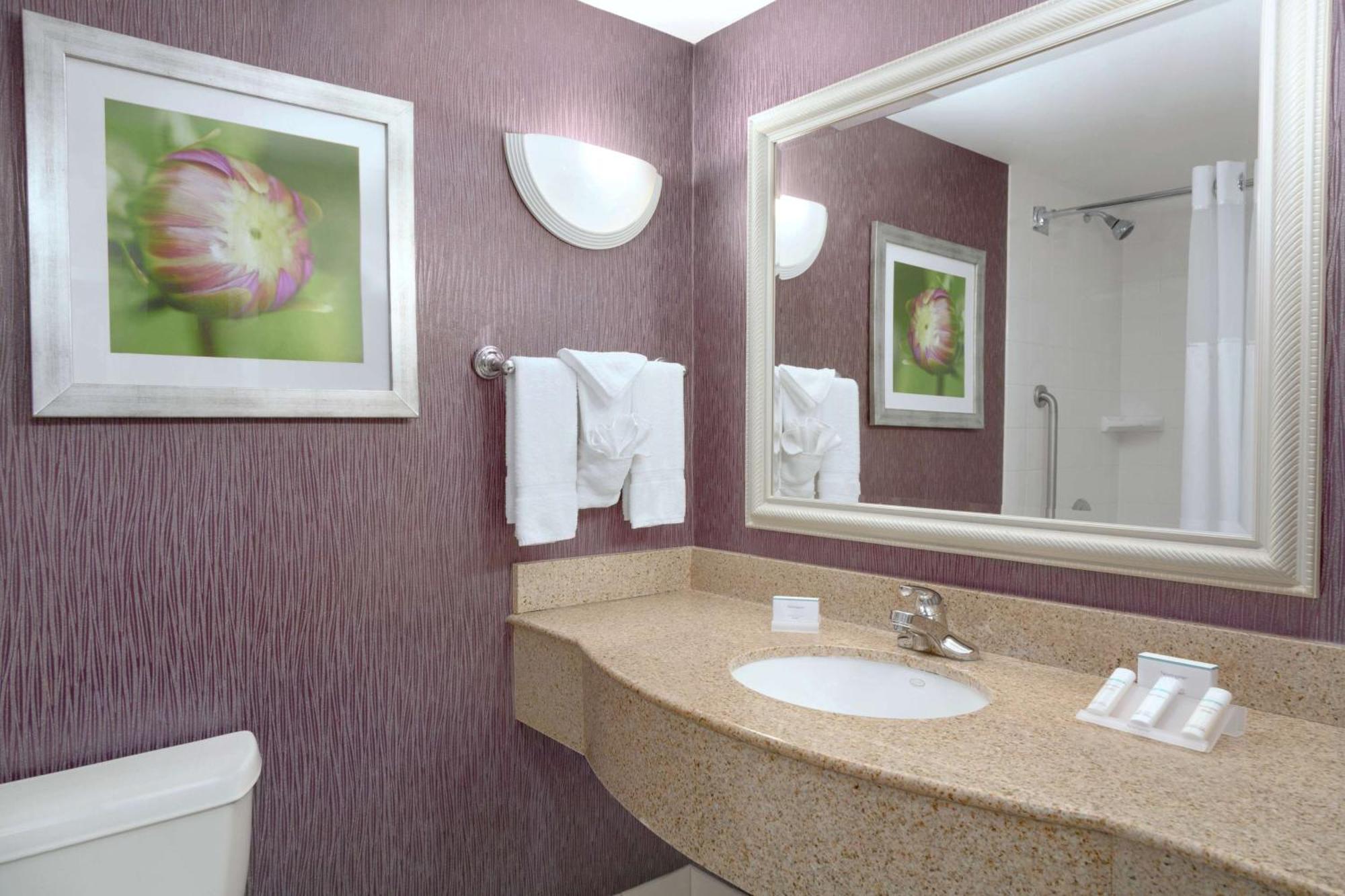 Hilton Garden Inn Springfield, Ma Εξωτερικό φωτογραφία