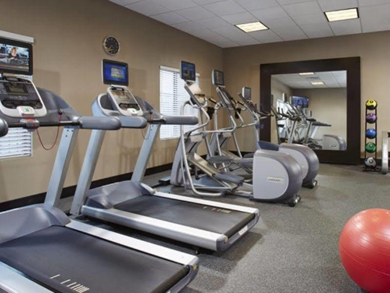 Hilton Garden Inn Springfield, Ma Εξωτερικό φωτογραφία